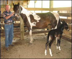 Description: Macintosh HD:Users:Mara:Desktop:may268-375x307-1.jpg