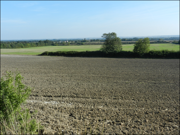 Description: Macintosh HD:Users:Mara:Pictures:iPhoto Library:Masters:2013:10:14:20131014-195712:DSCN2676.JPG