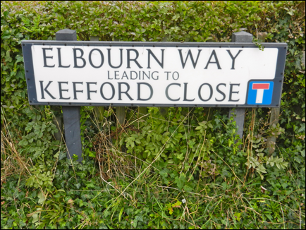 Description: Macintosh HD:Users:Mara:Pictures:iPhoto Library:Previews:2013:10:14:20131014-195712:DSCN2435.JPG