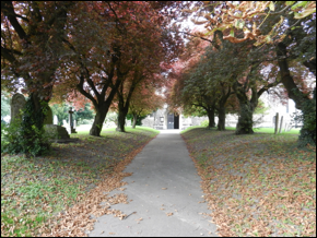 Description: Macintosh HD:Users:Mara:Pictures:iPhoto Library:Masters:2013:10:14:20131014-195712:DSCN2701.JPG