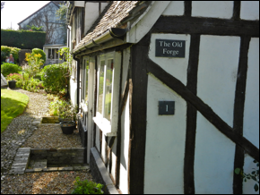 Description: Macintosh HD:Users:Mara:Pictures:iPhoto Library:Previews:2013:10:14:20131014-195712:DSCN2632.JPG