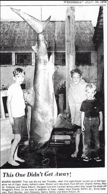 Description: Macintosh HD:Users:Mara:Desktop:1460097_10152025686647458_1029520601_n.jpg