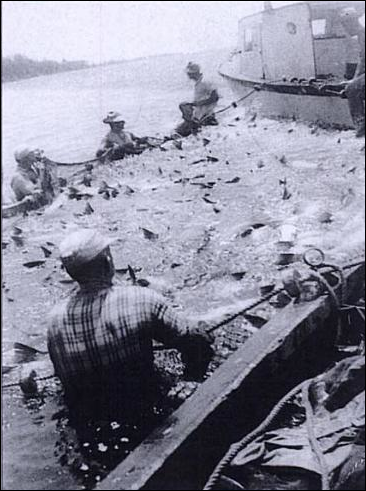 Description: Macintosh HD:Users:Mara:Library:Containers:com.apple.mail:Data:Library:Mail Downloads:B3502021-A5C3-41ED-B7F1-F5C67609834D:elburn henry jackson death cert.jpg