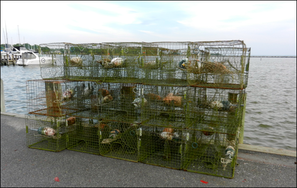 Description: Macintosh HD:Users:Mara:Pictures:iPhoto Library:Previews:2013:05:17:20130517-151040:DSCN1832.JPG