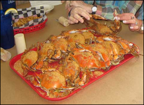 Description: Macintosh HD:Users:Mara:Desktop:Crab_IMG_1077.jpg