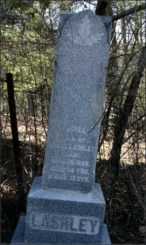 Description: Macintosh HD:Users:Mara:Desktop:lAr1lPxOWFY8KLL5DDFFNTvDT5We_R8SjFr0N31d5gjdyxxXe69_5M78KKN7XqAG.jpeg