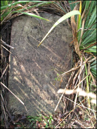 Description: Macintosh HD:Users:Mara:Desktop:42962455_131855378298.jpg