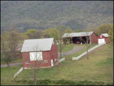 Description: Macintosh HD:Users:Mara:Desktop:DSC06460.JPG