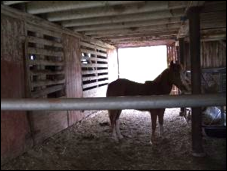 Description: Macintosh HD:Users:Mara:Desktop:DSC06470.JPG