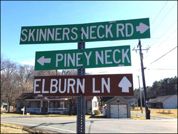 Description: Macintosh HD:Users:Mara:Desktop:image003.jpg