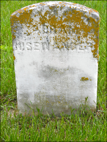 Description: Macintosh HD:Users:Mara:Pictures:iPhoto Library:Previews:2013:05:17:20130517-151040:DSCN1944.JPG