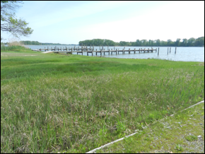 Description: Macintosh HD:Users:Mara:Pictures:iPhoto Library:Masters:2013:05:17:20130517-151040:DSCN1800.JPG