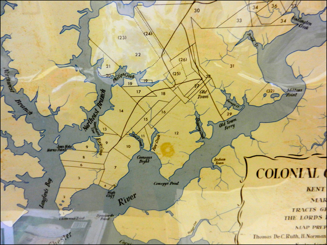 Description: Macintosh HD:Users:Mara:Pictures:iPhoto Library:Previews:2013:05:17:20130517-151040:DSCN1780.JPG