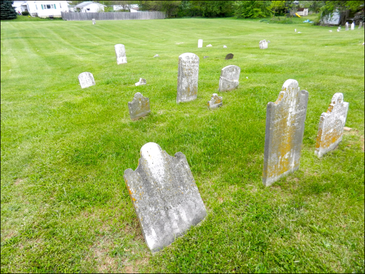 Description: Macintosh HD:Users:Mara:Pictures:iPhoto Library:Previews:2013:05:17:20130517-151040:DSCN1906.JPG