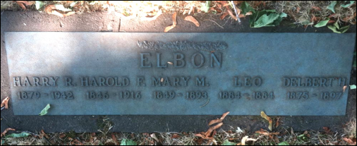 Description: Macintosh HD:Users:Mara:Desktop:99452528_135155267331.jpg