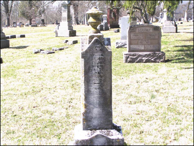 Description: Macintosh HD:Users:Mara:Desktop:g388_600.jpg