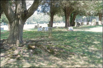 Description: Macintosh HD:Users:Mara:Desktop:96036821_134602096614.jpg