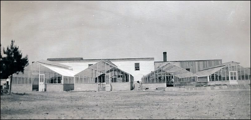 Description: Macintosh HD:Users:Mara:Desktop:ElburnsFloristGreenhouses.jpg