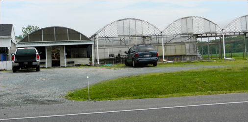 Description: Macintosh HD:Users:Mara:Pictures:iPhoto Library:Previews:2013:05:17:20130517-151040:DSCN1860.JPG