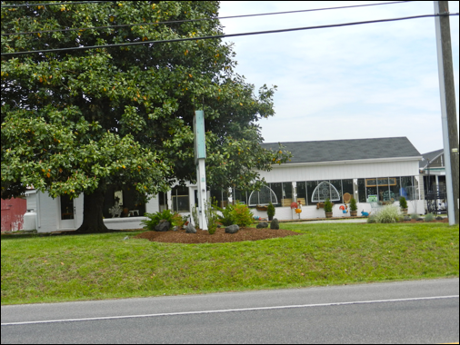 Description: Macintosh HD:Users:Mara:Pictures:iPhoto Library:Previews:2013:05:17:20130517-151040:DSCN1859.JPG