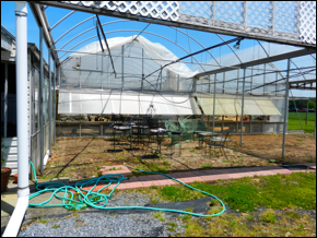 Description: Macintosh HD:Users:Mara:Pictures:iPhoto Library:Previews:2013:05:17:20130517-151040:DSCN1772.JPG