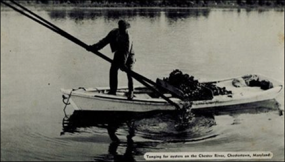 Description: Macintosh HD:Users:Mara:Desktop:image001.jpg