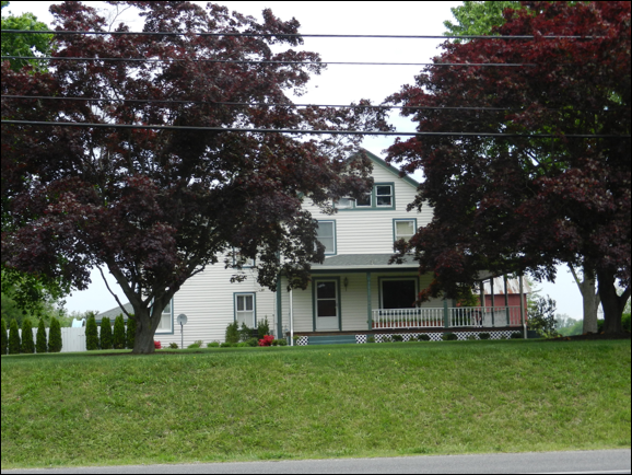 Description: Macintosh HD:Users:Mara:Pictures:iPhoto Library:Masters:2013:05:17:20130517-151040:DSCN1858.JPG