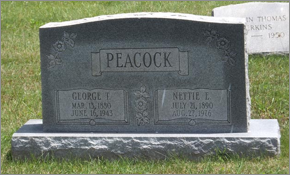 Description: Macintosh HD:Users:Mara:Desktop:92869767_134116126681.jpg