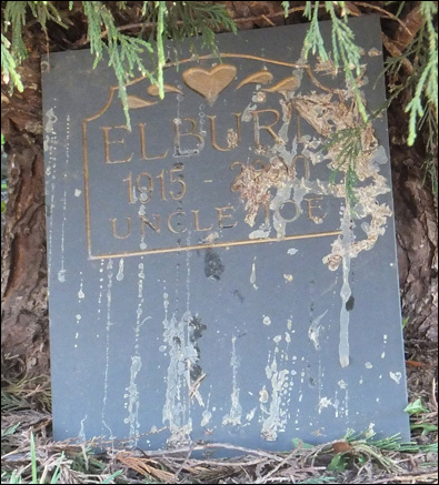 Description: Macintosh HD:Users:Mara:Desktop:87680677_133314293595.jpg