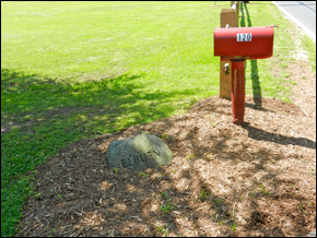 Description: Macintosh HD:Users:Mara:Pictures:iPhoto Library:Previews:2013:05:17:20130517-151040:DSCN1768.JPG