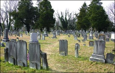 Description: Macintosh HD:Users:Mara:Desktop:10474646-large.jpg