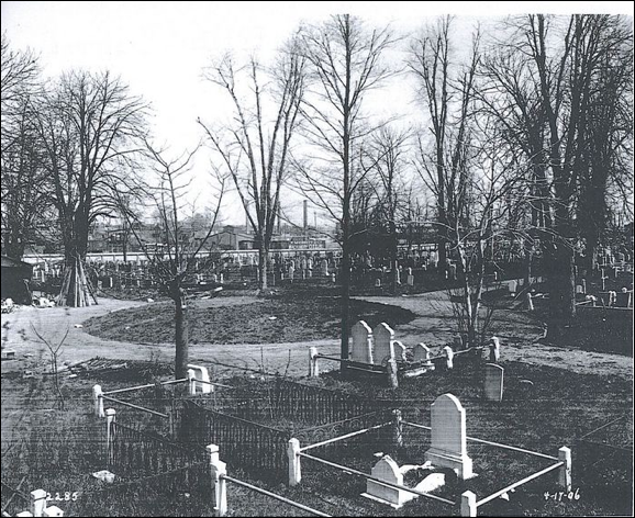 Description: Macintosh HD:Users:Mara:Desktop:CEM10016483_124906060170.jpg