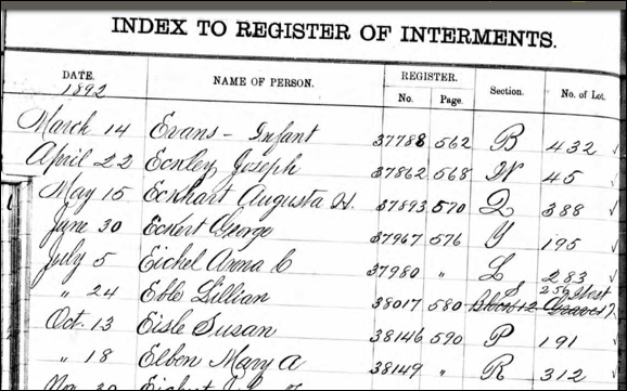 Description: Macintosh HD:Users:Mara:Desktop:MaryA.png