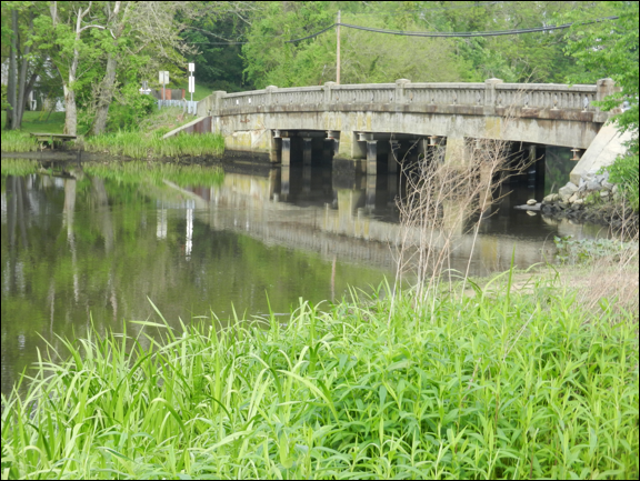 Description: Macintosh HD:Users:Mara:Pictures:iPhoto Library:Masters:2013:05:17:20130517-151040:DSCN1885.JPG