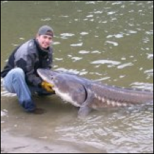 Description: Macintosh HD:Users:Mara:Desktop:37938_105554762845057_7339432_n.jpg