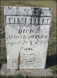 Description: Macintosh HD:Users:Mara:Desktop:53415043_132027943036.jpg