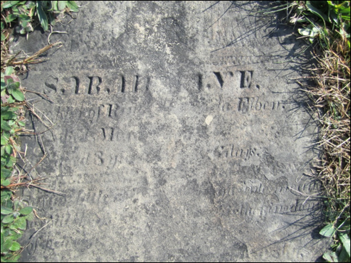 Description: Macintosh HD:Users:Mara:Desktop:79712251_132019941423.jpg