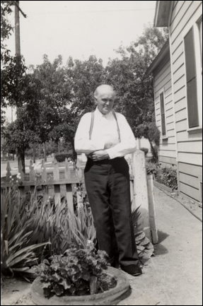 Description: Alice Pictures:19.png