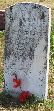 Description: Macintosh HD:Users:Mara:Desktop:84441653_134283746363.jpg