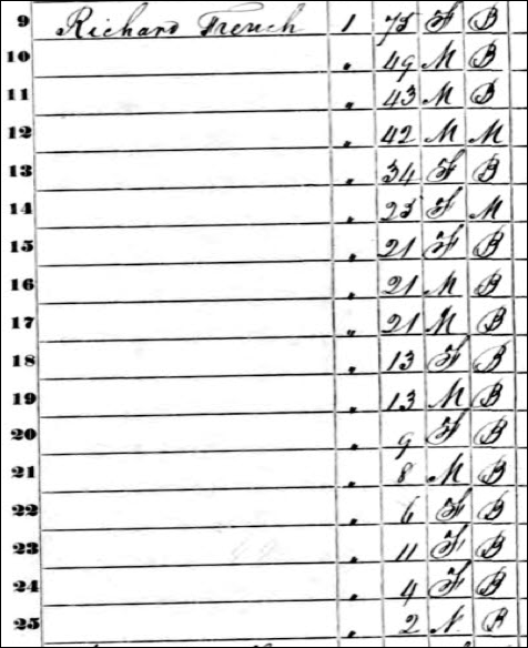 Description: mulatto1