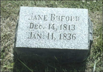 Description: Macintosh HD:Users:Mara:Desktop:55825020_131125059502.jpg