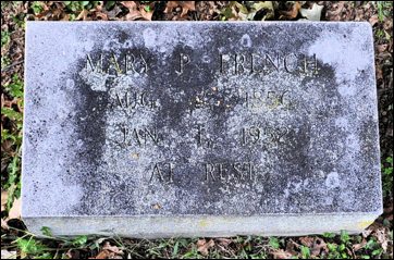 Description: Macintosh HD:Users:Mara:Desktop:25030451_125884094108.jpg