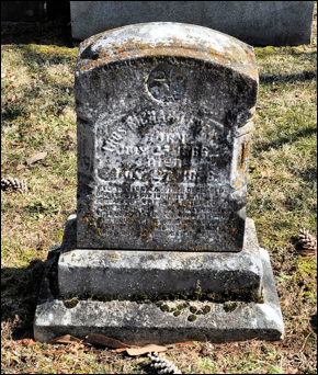 Description: Macintosh HD:Users:Mara:Desktop:54785840_127885888082.jpg