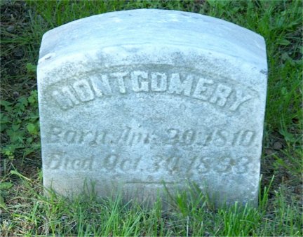 Description: Macintosh HD:Users:Mara:Desktop:11267560_115334820211.jpg