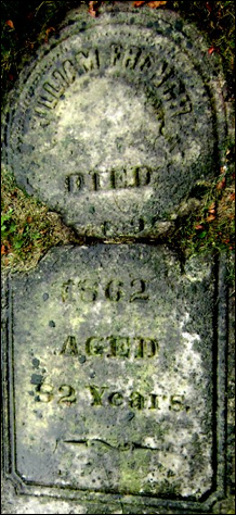 Description: Macintosh HD:Users:Mara:Desktop:60077924_137816447190.jpg