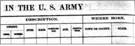 Macintosh HD:Users:Mara:Desktop:3.png