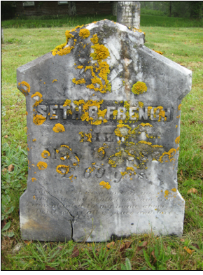 Macintosh HD:Users:Mara:Desktop:126065180_1394312609-1.jpg