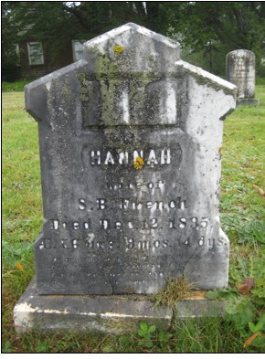 Macintosh HD:Users:Mara:Desktop:126065221_1394312408.jpg