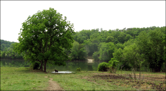 Description: Macintosh HD:Users:Mara:Desktop:6ZhyHTW1CeWQdHSGjWwDBWRwuBuUOPJZ4vN7x7fEWEyHzz1NXQ4_GhDhVqTLMZ!K.jpeg