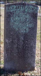 Description: Macintosh HD:Users:Mara:Desktop:600.jpeg